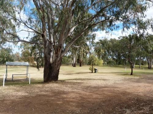 Narrabri Big Sky Caravan Park Екстериор снимка